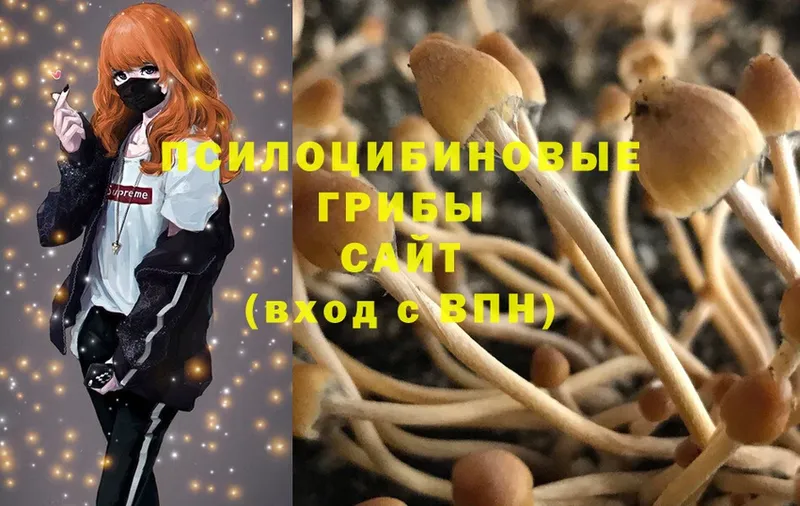 Галлюциногенные грибы MAGIC MUSHROOMS  магазин продажи наркотиков  ссылка на мегу рабочий сайт  Сортавала 